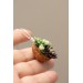 Green and Dark Violet Succulent Nutshell Necklace