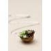 Green and Dark Violet Succulent Nutshell Necklace
