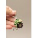 Green and Dark Violet Succulent Nutshell Necklace