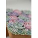 Handcrafted Wooden Jewelry Box with Pastel Succulents – EtenIren