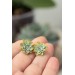 Handmade Mini Succulent Earrings – Green & Orange Clay Studs | Eteniren Jewelry