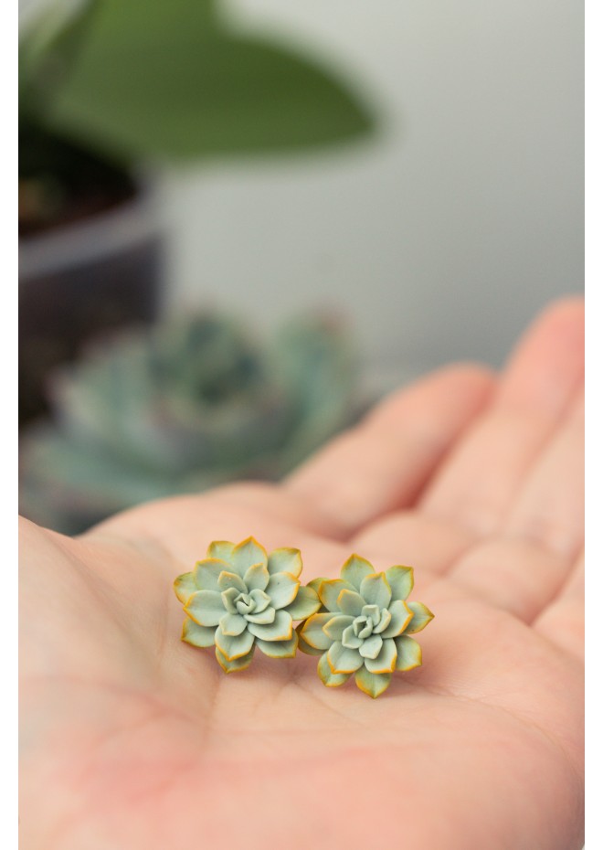 Handmade Mini Succulent Earrings – Green & Orange Clay Studs | Eteniren Jewelry
