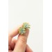 Handmade Mini Succulent Earrings – Green & Orange Clay Studs | Eteniren Jewelry
