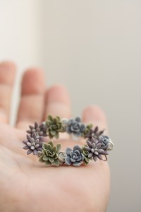 Succulent Ear Cuffs – 2-in-1 Set with Stud Earrings | Hypoallergenic, 5 cm