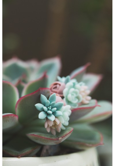 Handcrafted Succulent Bouquet Earrings – Blue, Pastel Rose & Mint