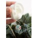 Pastel Succulent Drop Earrings – Handmade Floral Dangles