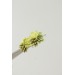 Succulent Bouquet Earrings | Green Handmade Studs