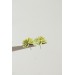 Succulent Bouquet Earrings | Green Handmade Studs