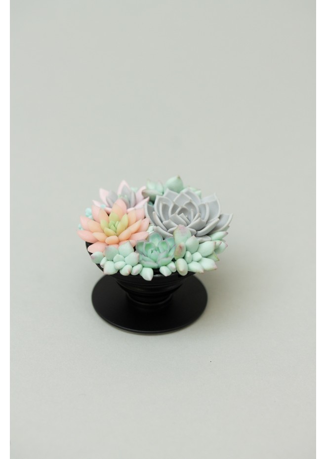 Handcrafted Polymer Clay Succulent Phone Grip - Unique Accessory