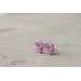 Purple Hypoallergenic Succulent Studs