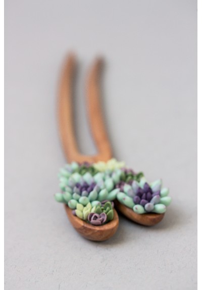 Wooden Hairpin With Colorful Succulents