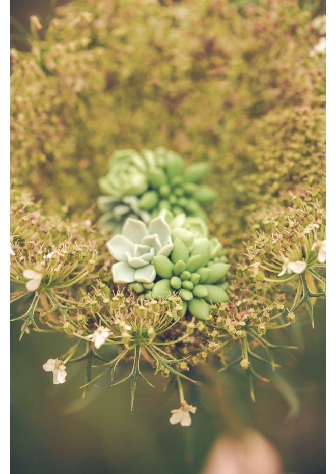 Green bouquet Succulent Stud Earrings