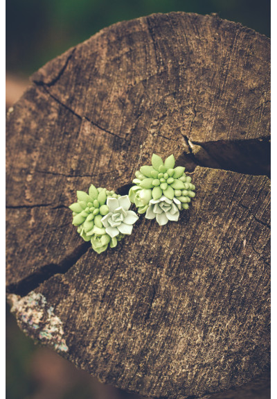 Green bouquet Succulent Stud Earrings