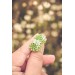 Green bouquet Succulent Stud Earrings