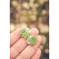 Green bouquet Succulent Stud Earrings