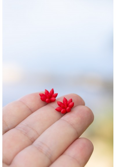 Minimalist Handmade Red Polymer Clay Succulent-Inspired Earrings