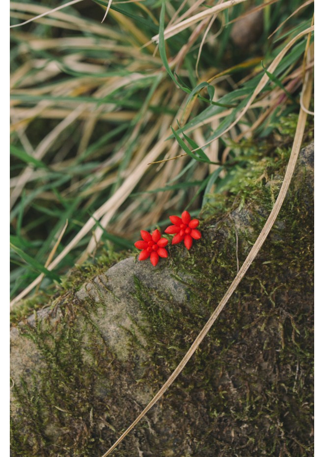 Minimalist Handmade Red Polymer Clay Succulent-Inspired Earrings