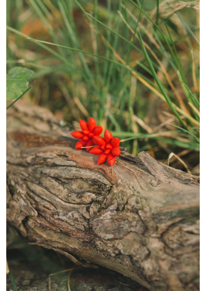 Minimalist Handmade Red Polymer Clay Succulent-Inspired Earrings