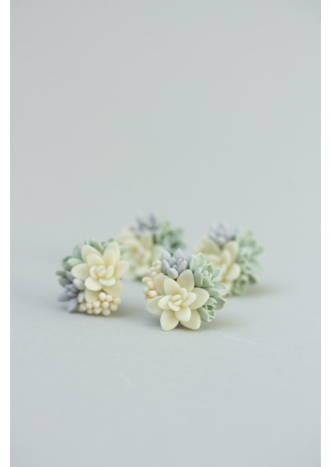 Succulent Stud Earrings - Ivory Green Pink Echeveria Plant Hypoallergenic Earrings