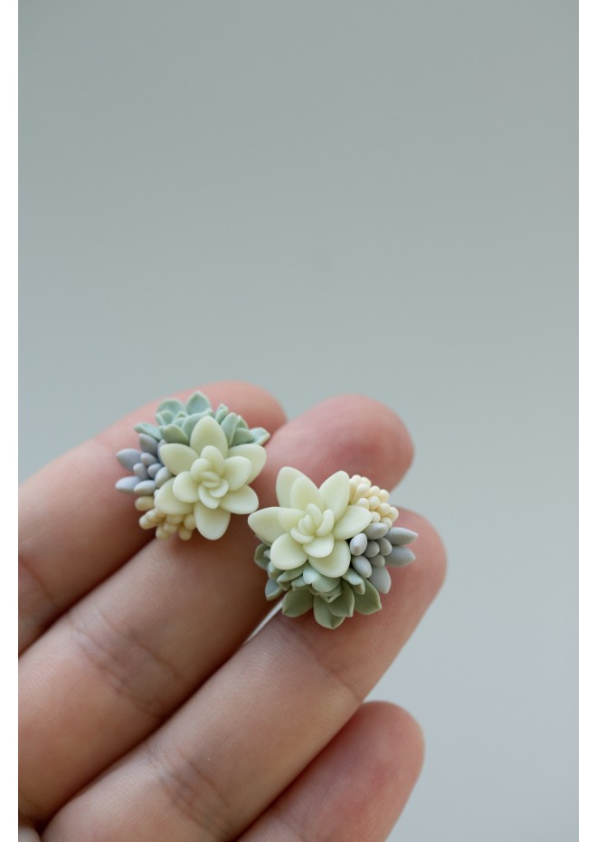 Succulent Stud Earrings - Ivory Green Pink Echeveria Plant Hypoallergenic Earrings