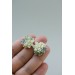Succulent Stud Earrings - Ivory Green Pink Echeveria Plant Hypoallergenic Earrings