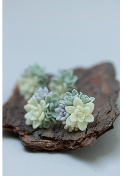 Succulent Stud Earrings - Ivory Green Pink Echeveria Plant Hypoallergenic Earrings