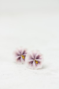 Pink Pansy Earrings Stud earrings