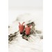 Red Fox stud earrings, Animals Earrings