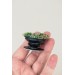 Green succulents phone grip, Floral phone accessory