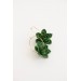 Green Succulent Flower hoop earrings from polymer clay, 100% handmade