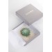 Green Gold Succulent hair Comb