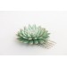 Green Gold Succulent hair Comb