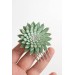 Green Gold Succulent hair Comb