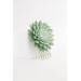 Green Gold Succulent hair Comb