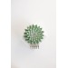 Green Gold Succulent hair Comb