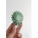 Green Gold Succulent hair Comb