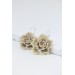 Beige Flower Hoop Earrings