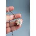  Seed Pod Necklace