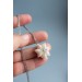  Seed Pod Necklace