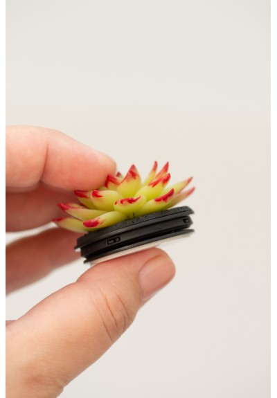 Yellow and Red Succulent Phone Grip Holder/Beautiful Mobile Grip