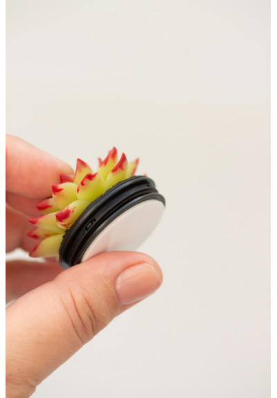 Yellow and Red Succulent Phone Grip Holder/Beautiful Mobile Grip