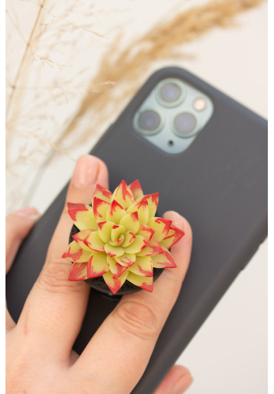 Yellow and Red Succulent Phone Grip Holder/Beautiful Mobile Grip