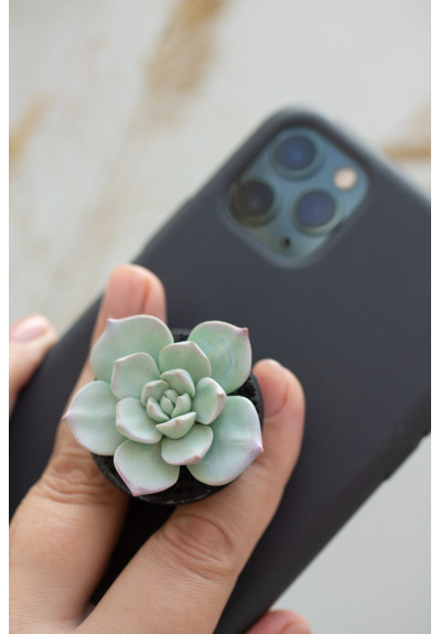 Blue Succulent Phone Grip Holder Beautiful Mobile Grip