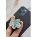 Succulent phone grip, echeveria accessory phone holder, cellphone cover accessory, phone grip, polymer clay phone grip, succulent