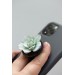 Succulent phone grip, echeveria accessory phone holder, cellphone cover accessory, phone grip, polymer clay phone grip, succulent