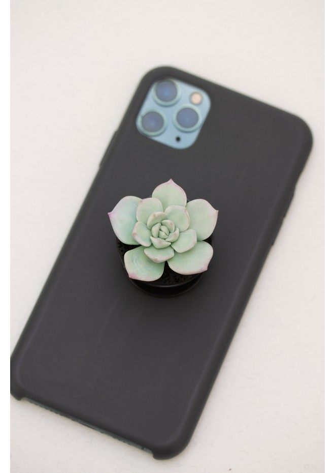 Succulent phone grip, echeveria accessory phone holder, cellphone cover accessory, phone grip, polymer clay phone grip, succulent