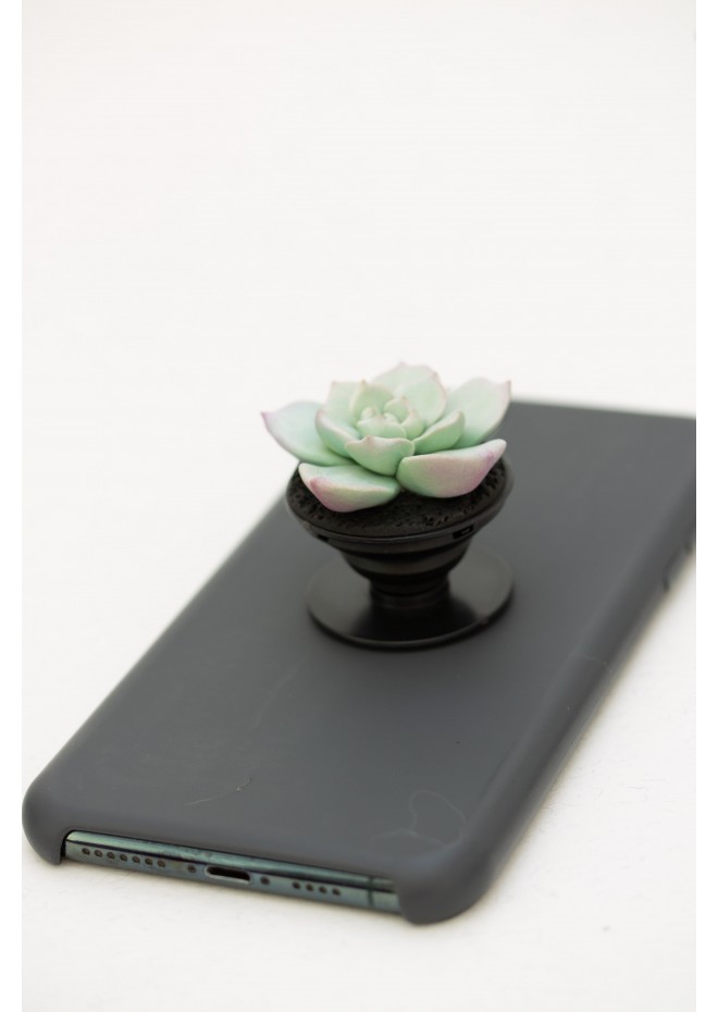 Succulent phone grip, echeveria accessory phone holder, cellphone cover accessory, phone grip, polymer clay phone grip, succulent