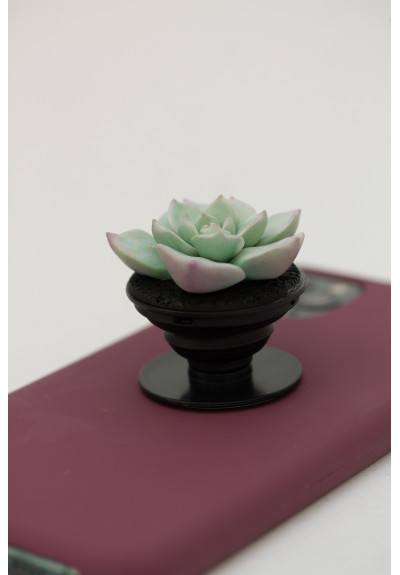 Blue Succulent Phone Grip Holder Beautiful Mobile Grip