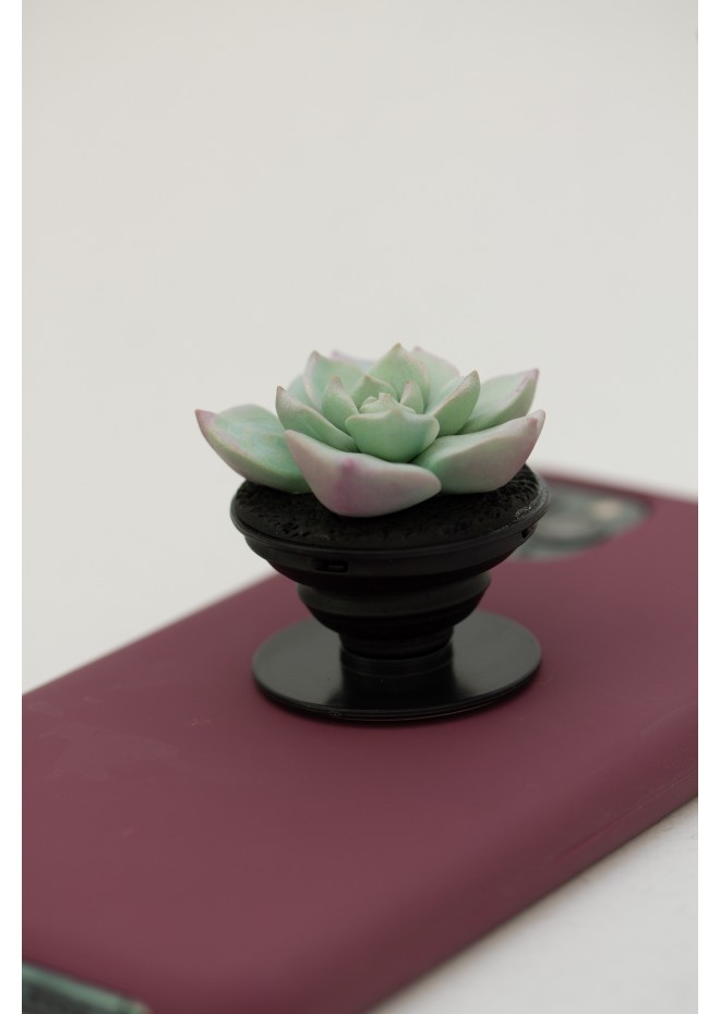 Succulent phone grip, echeveria accessory phone holder, cellphone cover accessory, phone grip, polymer clay phone grip, succulent