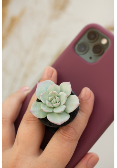 Blue Succulent Phone Grip Holder/Beautiful Mobile Grip